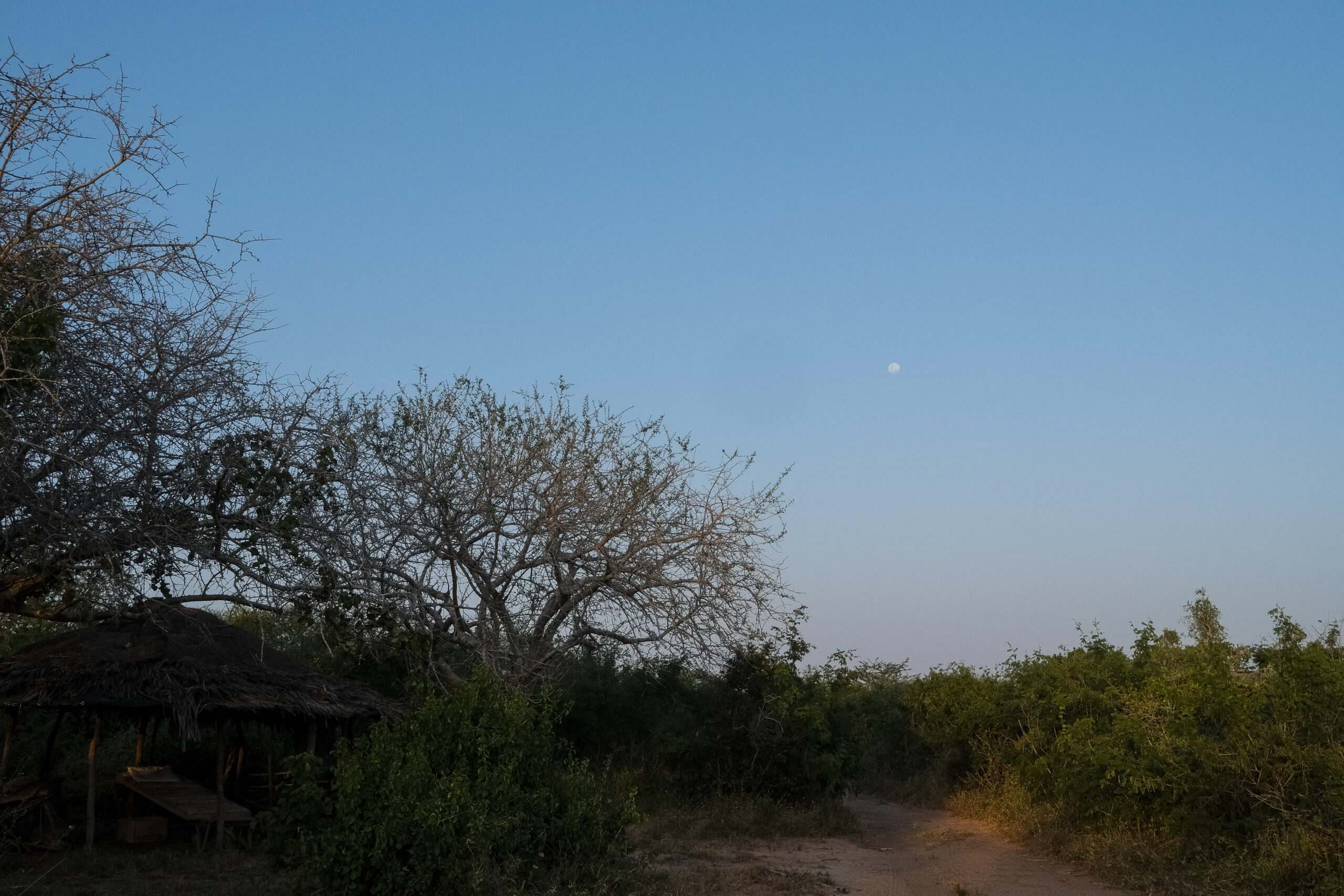 CAPTION in Shakahola, Kenya on 23 January, 2024. Early responders claimed this was no ordinary house; it was a holding pen for children who were being force-fasted. The stone bench was a guard station to ensure that the children stayed in and no one interfered in the process, they said. (Photo by Kabir Dhanji)