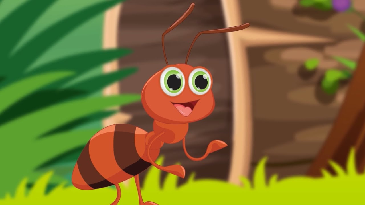 We Are Not Alone – The Hidden World of Insects